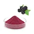 Mulberry powder flavor